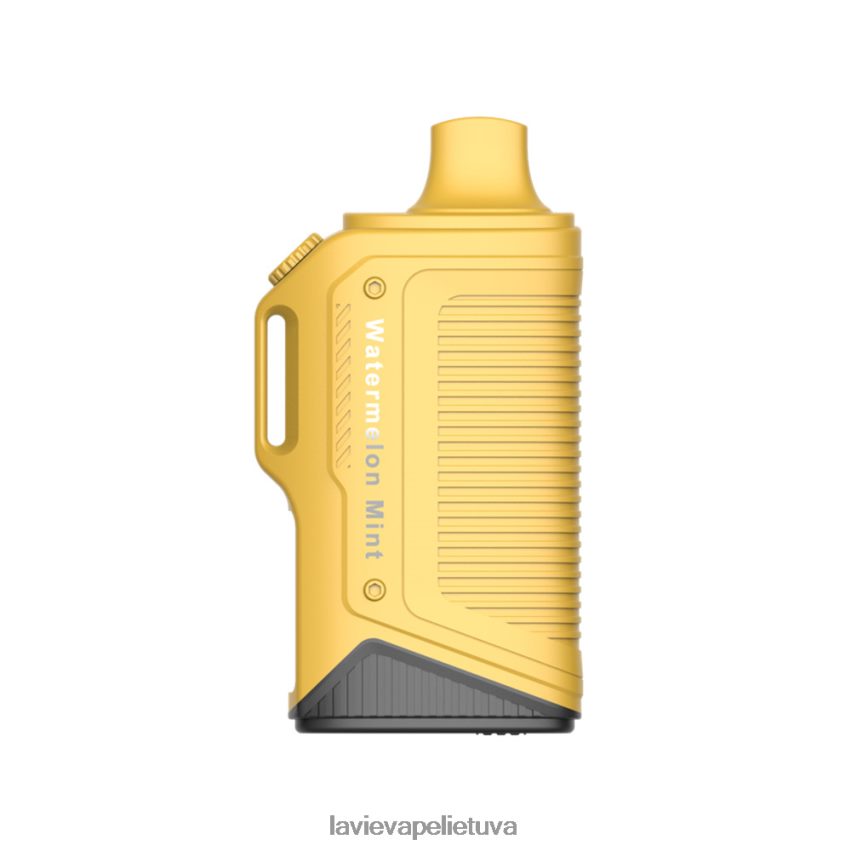 arbūzų mėtų